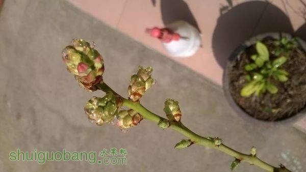 WP_20150302_10_37_52_Pro.jpg