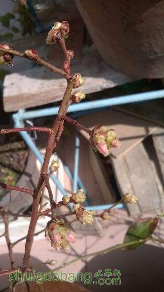 WP_20150302_10_35_56_Pro.jpg