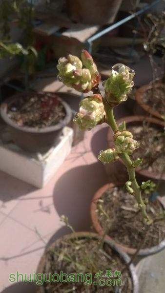 WP_20150302_10_33_37_Pro.jpg
