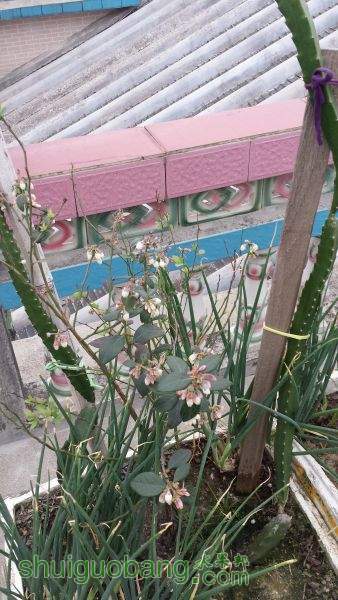 20150302_084706.jpg