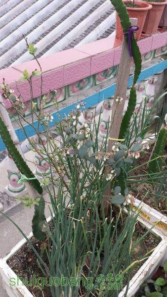 20150302_084831.jpg