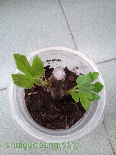 20150303_103308.jpg