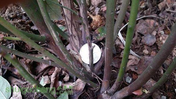 20150303_140505.jpg