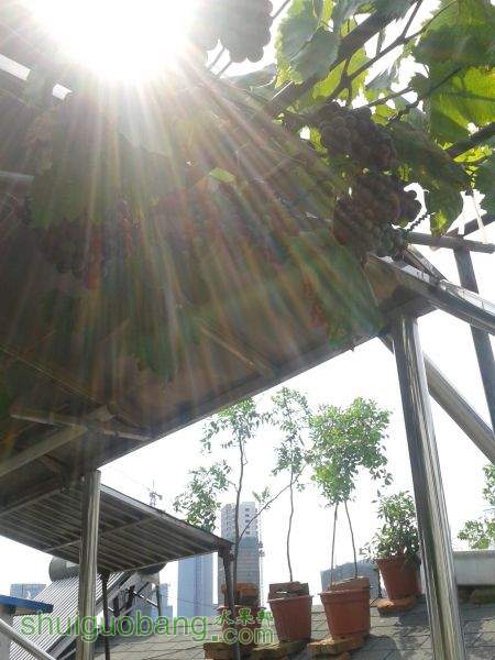 20140714_143313.jpg