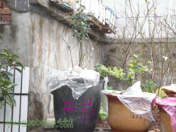 DSCN2838.JPG