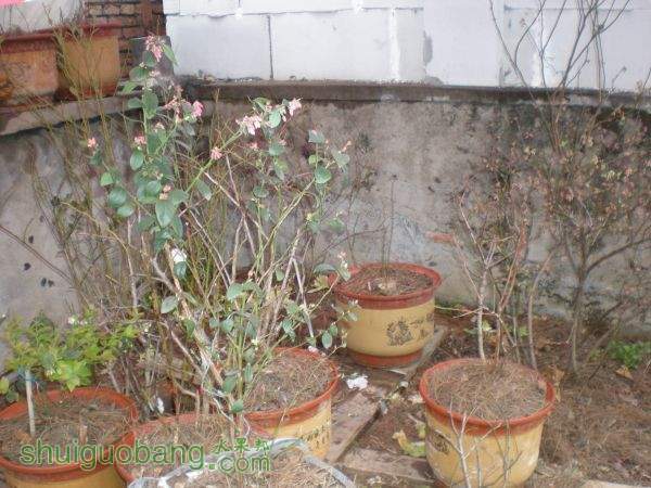 DSCN2860.JPG