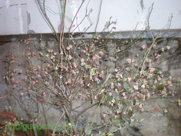 DSCN2861.JPG