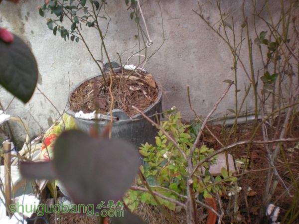 DSCN2862.JPG