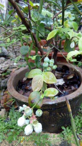 IMG_20150303_121721.jpg