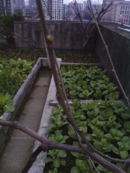 IMG0305183201.jpg