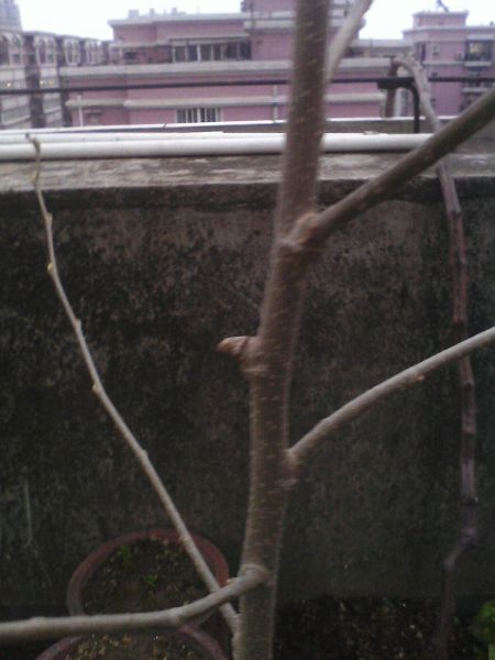 IMG0305183000.jpg