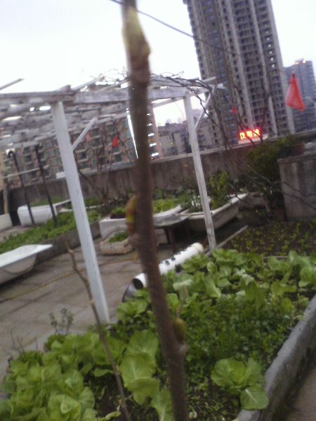 IMG0305183200.jpg