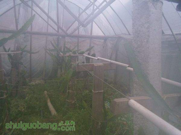 Ƭ 002.jpg