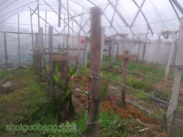 Ƭ 003.jpg