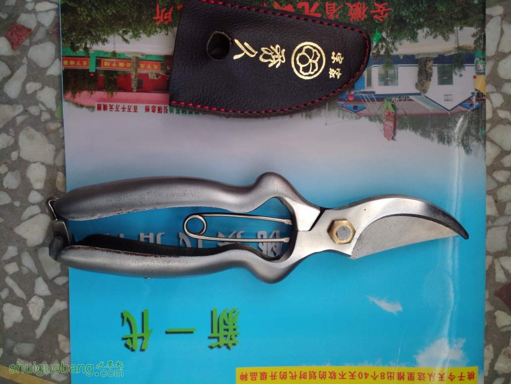 230153wyyt5drqut8rdtif.jpg