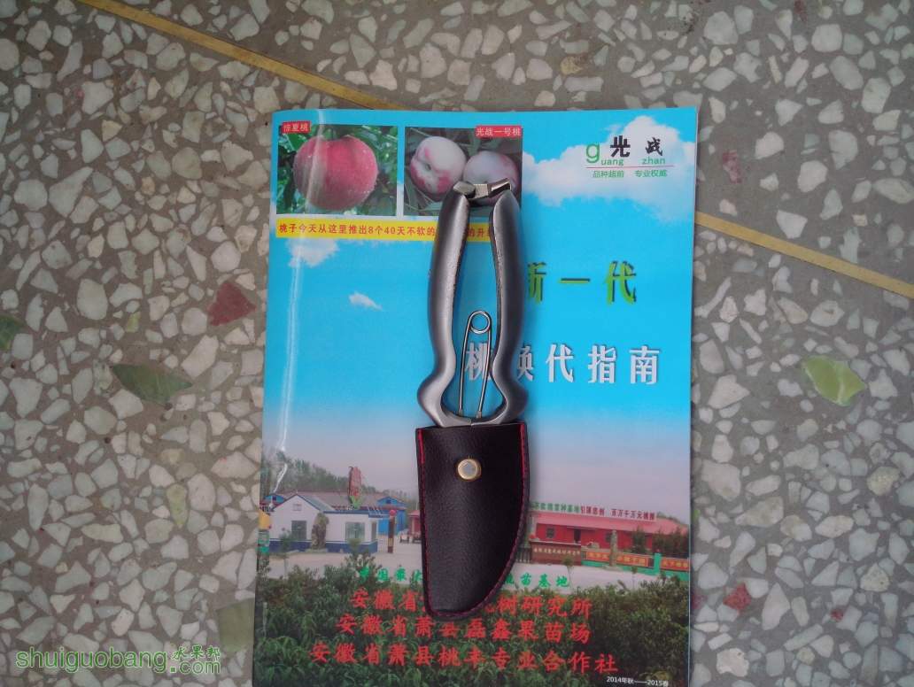 230154j69bix0x4y9vqsv4.jpg