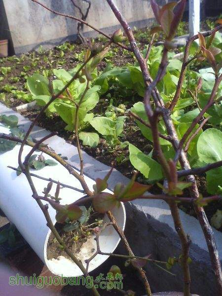 IMG0307100500.jpg