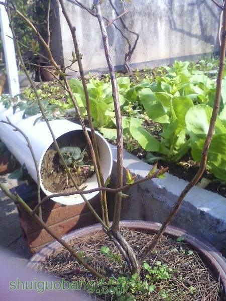 IMG0307100501.jpg