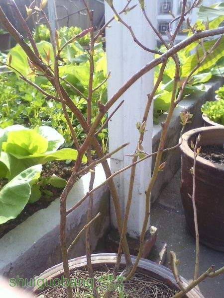 IMG0307100600.jpg
