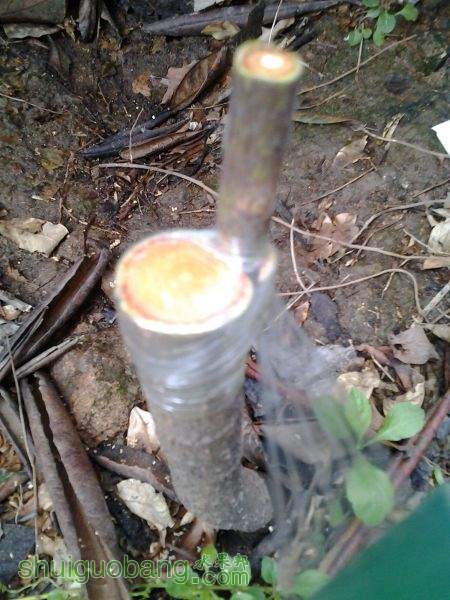 20150306_143002.jpg