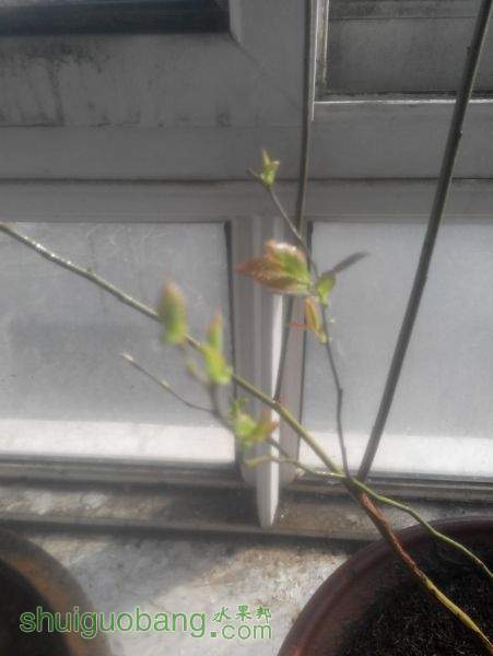 IMG_20150310_152945.jpg
