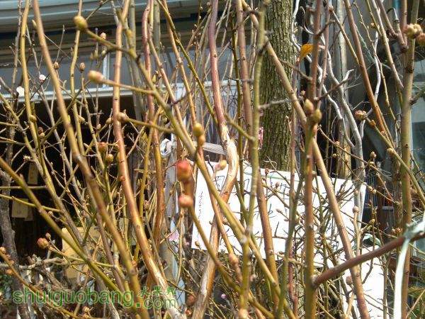 IMG_20150311_133454.jpg