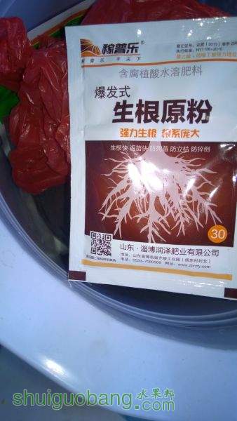 WP_20150306_001.jpg