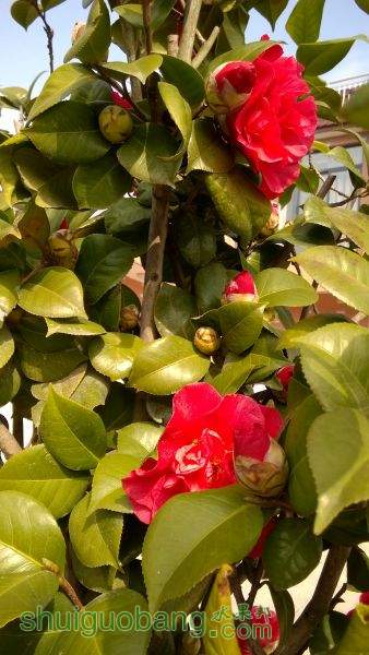 WP_20150218_10_27_26_Pro.jpg