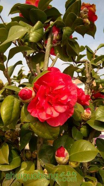 WP_20150218_10_27_46_Pro.jpg