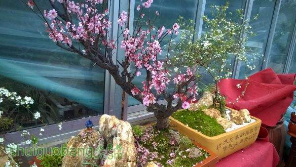 WP_20150308_10_46_38_Pro.jpg