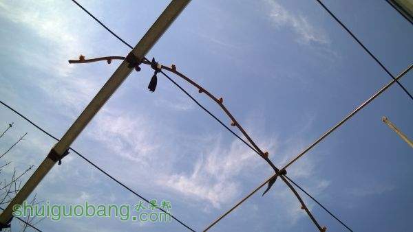 WP_20150310_12_32_50_Pro.jpg