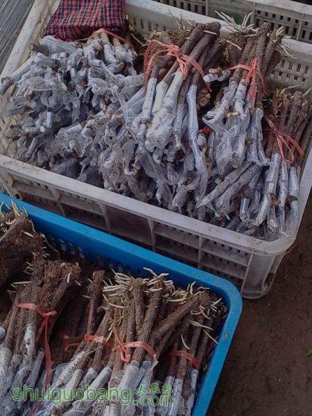 IMG20150312091215.jpg