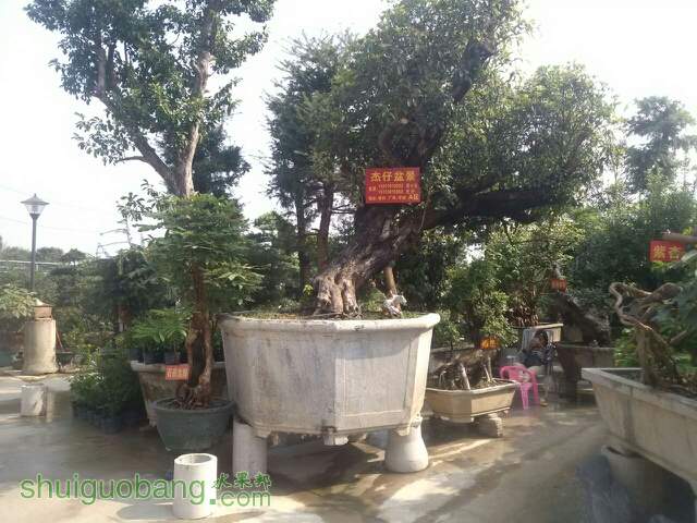 033530bouyyqy3dc3jiqd3.jpg