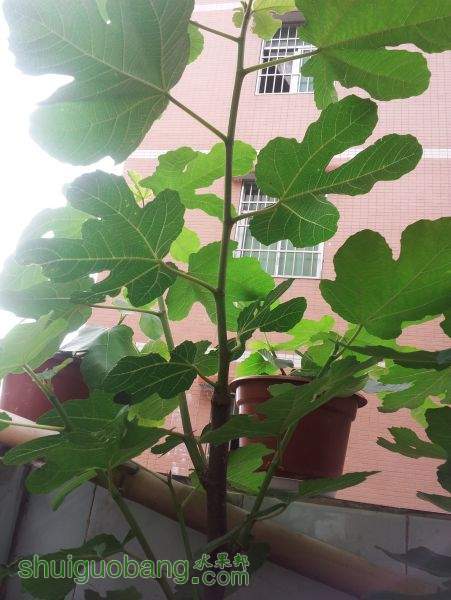 20150315_122258.jpg