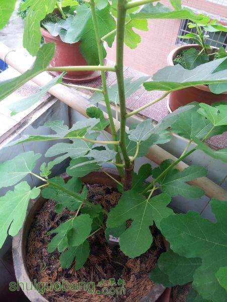 20150315_122219.jpg