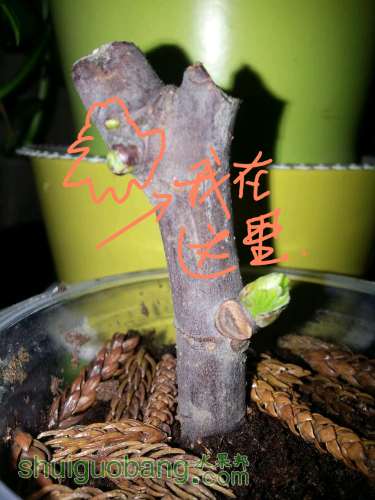 2015-03-16 16.20.44.png