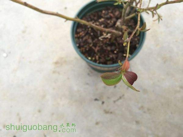 QQͼƬ20150317091203.jpg