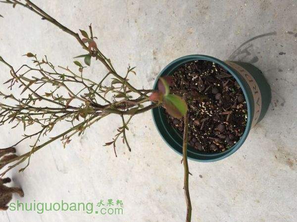 QQͼƬ20150317091215.jpg