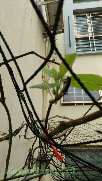 IMG_20150319_074341.jpg