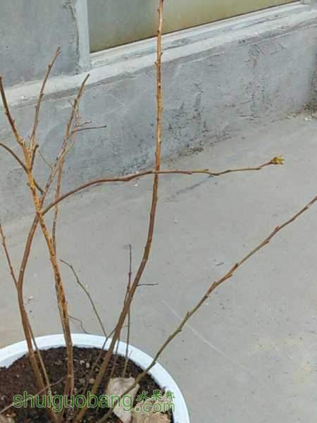 UC_Photo_007.jpg