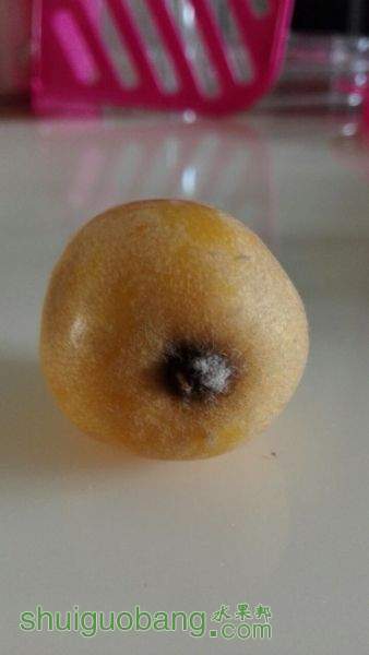 2015032303.jpg