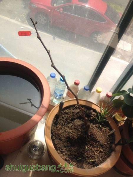 ޷