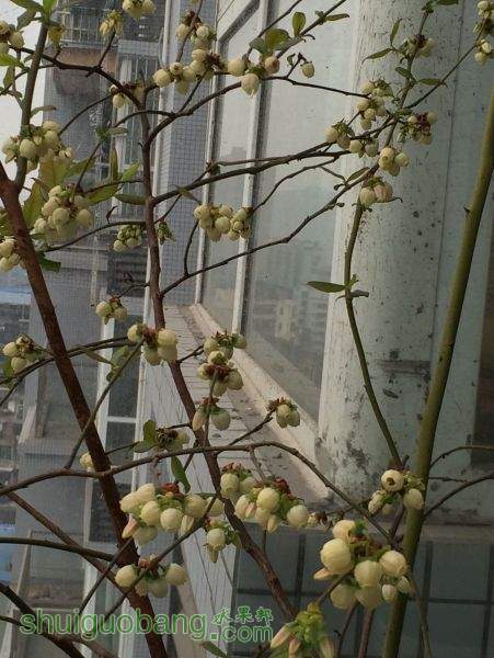 QQͼƬ20150324092749.jpg