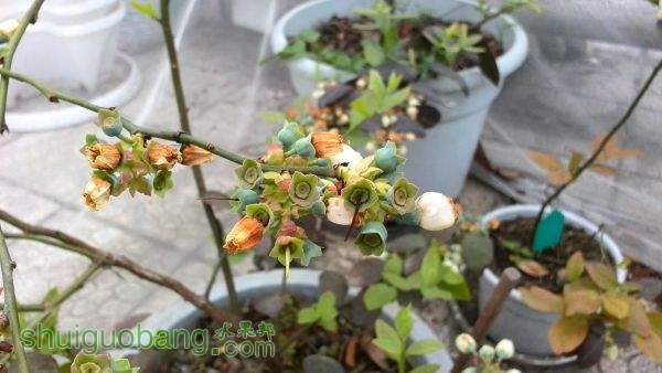IMG_20150324_092233.jpg