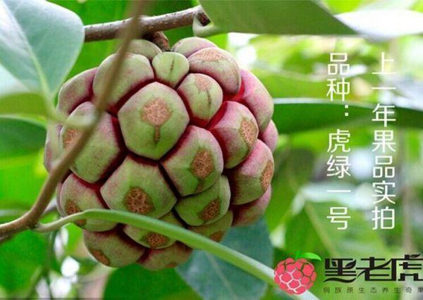 QQͼƬ20150326131750.jpg