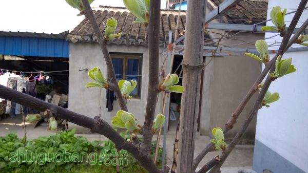 WP_20150322_10_20_44_Pro.jpg