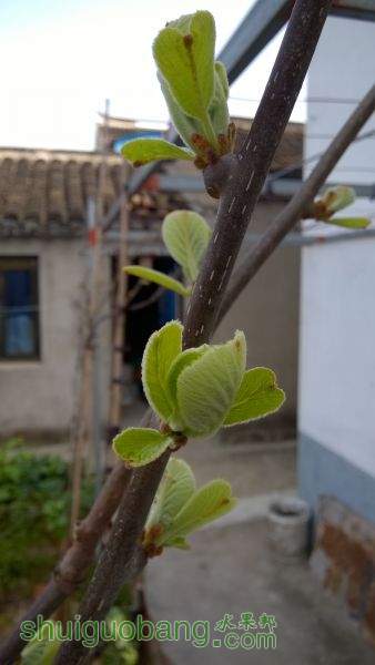 WP_20150322_10_21_21_Pro.jpg