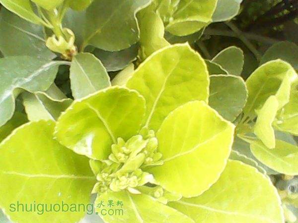 Ҷ2012.3.26ɼ.jpg