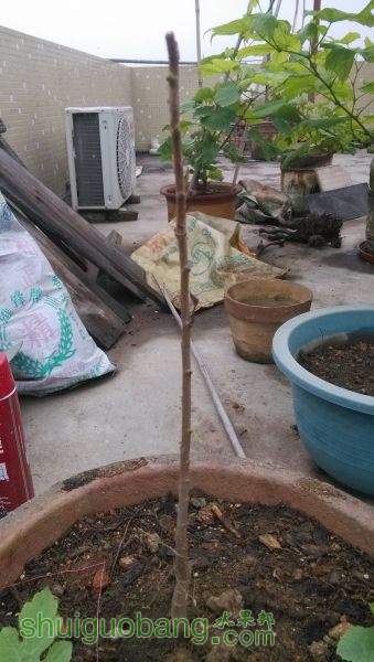1걾
