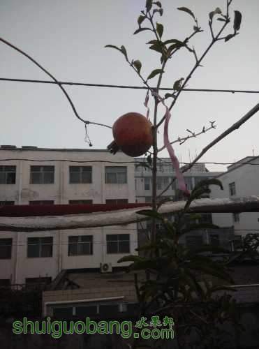 IMG_20141002_063306.jpg